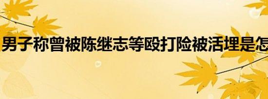 男子称曾被陈继志等殴打险被活埋是怎么回事