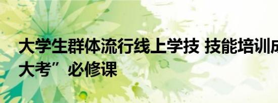 大学生群体流行线上学技 技能培训成“就业大考”必修课