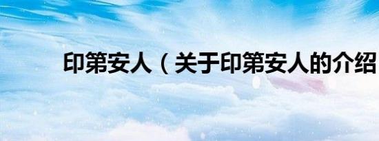 印第安人（关于印第安人的介绍）