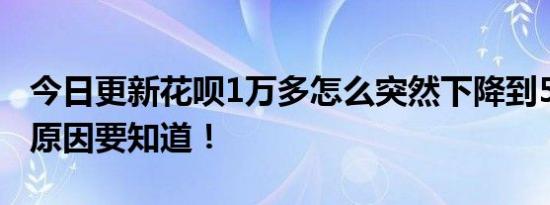 今日更新花呗1万多怎么突然下降到500 这些原因要知道！