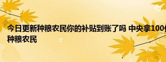 今日更新种粮农民你的补贴到账了吗 中央拿100亿补贴实际种粮农民