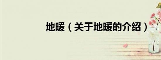 地暖（关于地暖的介绍）