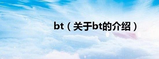 bt（关于bt的介绍）