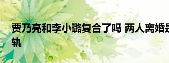 贾乃亮和李小璐复合了吗 两人离婚是谁出了轨