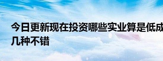 今日更新现在投资哪些实业算是低成本的 这几种不错