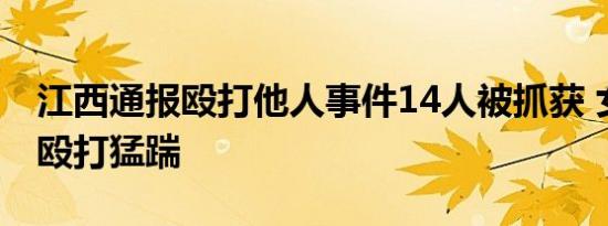 江西通报殴打他人事件14人被抓获 女子惨遭殴打猛踹