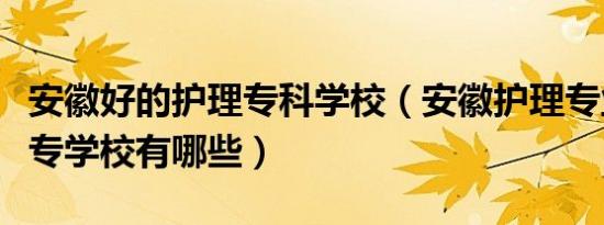 安徽好的护理专科学校（安徽护理专业好的大专学校有哪些）