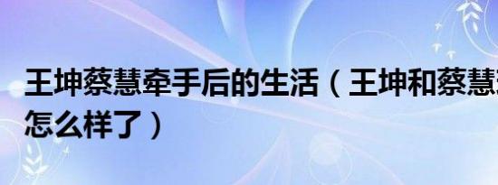 王坤蔡慧牵手后的生活（王坤和蔡慧现在他们怎么样了）