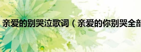 亲爱的别哭泣歌词（亲爱的你别哭全部歌词）