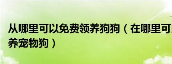 从哪里可以免费领养狗狗（在哪里可以免费领养宠物狗）