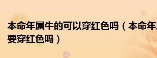 本命年属牛的可以穿红色吗（本命年属牛的人要穿红色吗）