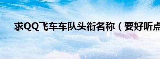 求QQ飞车车队头衔名称（要好听点的）