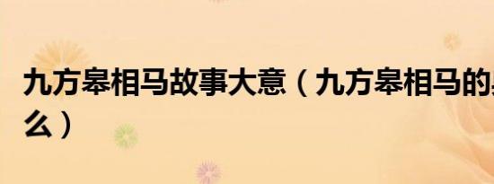 九方皋相马故事大意（九方皋相马的典故是什么）