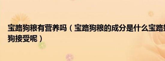 宝路狗粮有营养吗（宝路狗粮的成分是什么宝路好不好让狗狗接受呢）