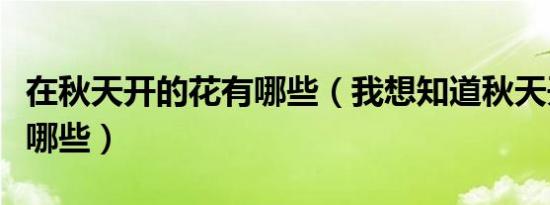 在秋天开的花有哪些（我想知道秋天开的花有哪些）