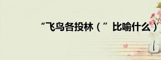 “飞鸟各投林（”比喻什么）