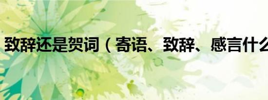 致辞还是贺词（寄语、致辞、感言什么意思）