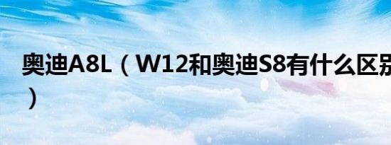 奥迪A8L（W12和奥迪S8有什么区别 哪个好）
