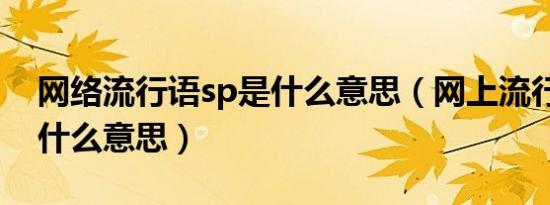 网络流行语sp是什么意思（网上流行语sp是什么意思）