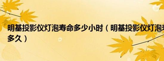 明基投影仪灯泡寿命多少小时（明基投影仪灯泡寿命大概是多久）
