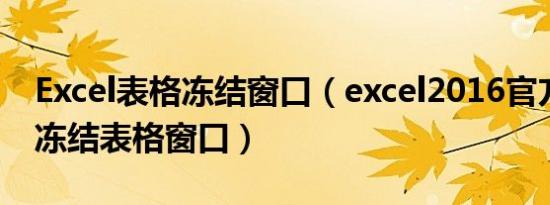Excel表格冻结窗口（excel2016官方版怎么冻结表格窗口）