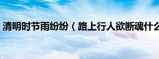 清明时节雨纷纷（路上行人欲断魂什么意思）