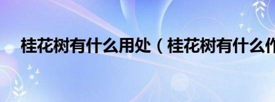 桂花树有什么用处（桂花树有什么作用）