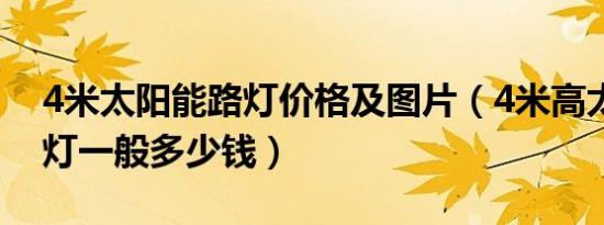 4米太阳能路灯价格及图片（4米高太阳能路灯一般多少钱）