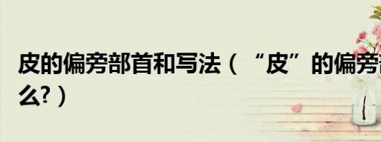 皮的偏旁部首和写法（“皮”的偏旁部首是什么?）
