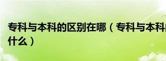 专科与本科的区别在哪（专科与本科的区别是什么）