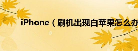 iPhone（刷机出现白苹果怎么办）
