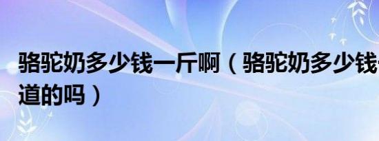骆驼奶多少钱一斤啊（骆驼奶多少钱一斤有知道的吗）