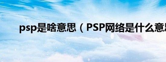 psp是啥意思（PSP网络是什么意思）