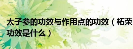 太子参的功效与作用点的功效（柘荣太子参的功效是什么）
