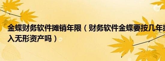 金蝶财务软件摊销年限（财务软件金蝶要按几年摊销需要计入无形资产吗）
