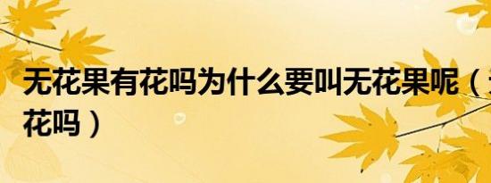 无花果有花吗为什么要叫无花果呢（无花果有花吗）