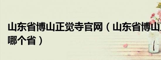 山东省博山正觉寺官网（山东省博山正觉寺在哪个省）