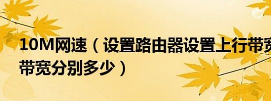 10M网速（设置路由器设置上行带宽和下行带宽分别多少）