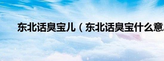 东北话臭宝儿（东北话臭宝什么意思）