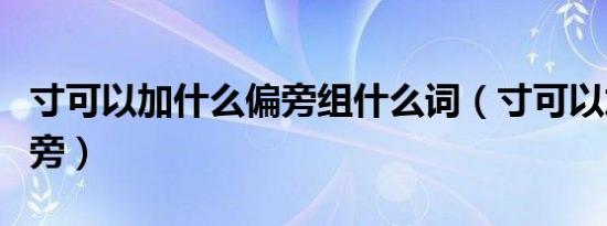 寸可以加什么偏旁组什么词（寸可以加什么偏旁）