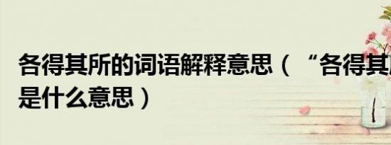 各得其所的词语解释意思（“各得其所”成语是什么意思）