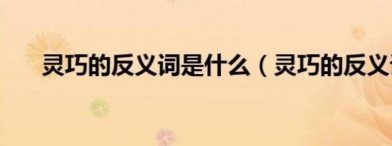 灵巧的反义词是什么（灵巧的反义词）