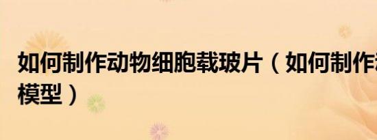 如何制作动物细胞载玻片（如何制作动物细胞模型）