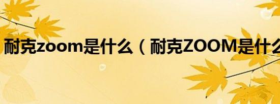 耐克zoom是什么（耐克ZOOM是什么意思）