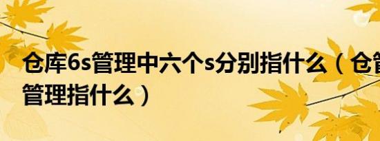 仓库6s管理中六个s分别指什么（仓管中的6s管理指什么）