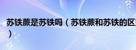 苏铁蕨是苏铁吗（苏铁蕨和苏铁的区别是什么）