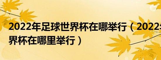 2022年足球世界杯在哪举行（2022年足球世界杯在哪里举行）