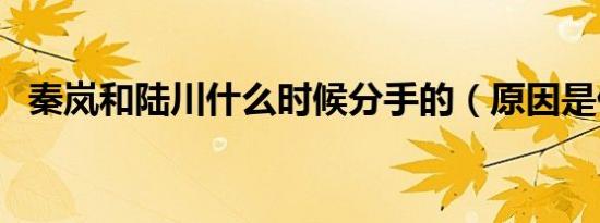 秦岚和陆川什么时候分手的（原因是什么）