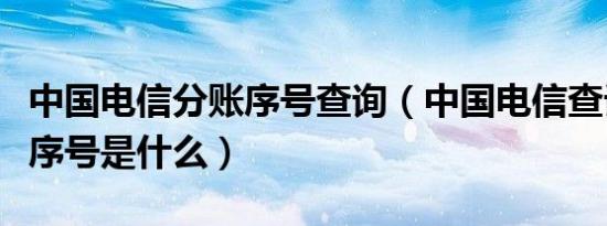 中国电信分账序号查询（中国电信查话费分帐序号是什么）