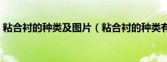 粘合衬的种类及图片（粘合衬的种类有哪些）